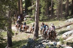 Pack TRain