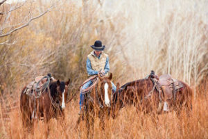 Cowboy with Horses