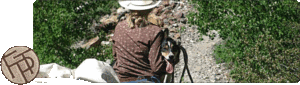 Dog in the Saddle